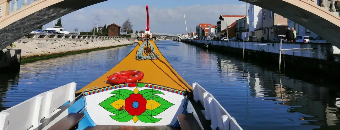 Private Bairrada Wine Tour from Porto with Tasting and Lunch
