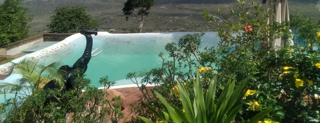 Shimba Hills 1-day tour with Sheldrick Falls hike from Mombasa