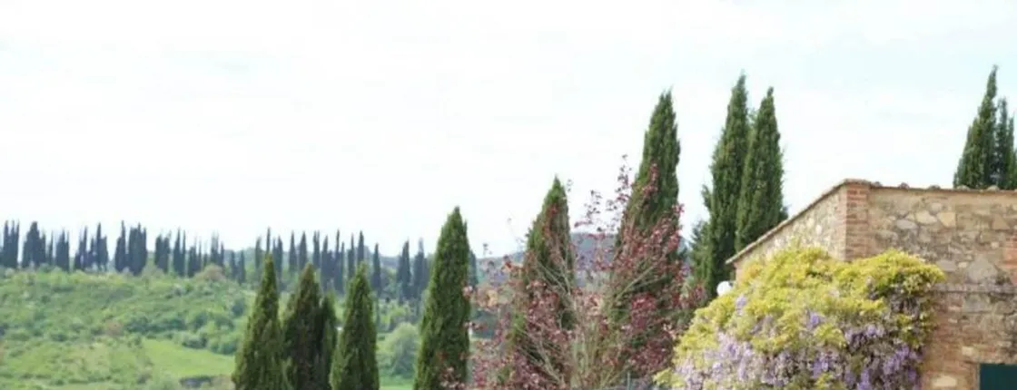 500 vintage tour in the Chianti area from Siena