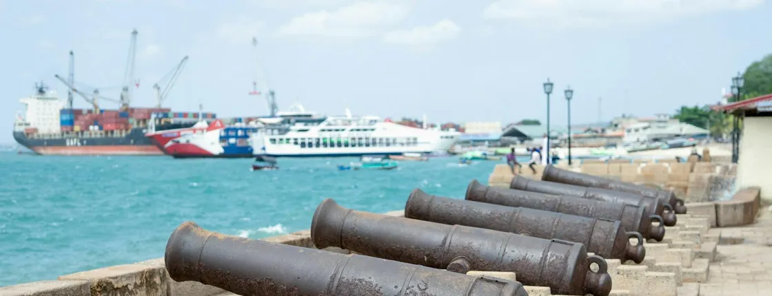 Zanzibar historic stone town tour and Masingini Forest walk