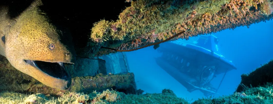 Mauritius submarine tour