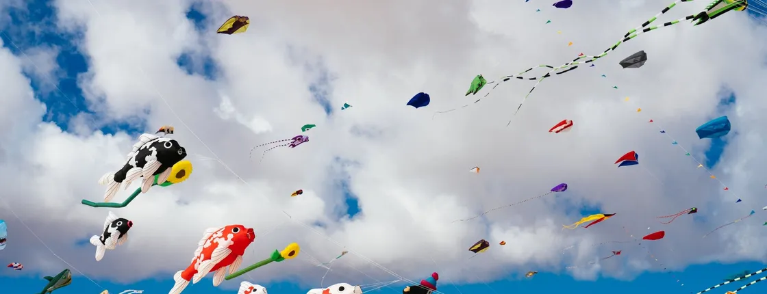 Transfer to International Kite Festival in Corralejo - 15.11.2026
