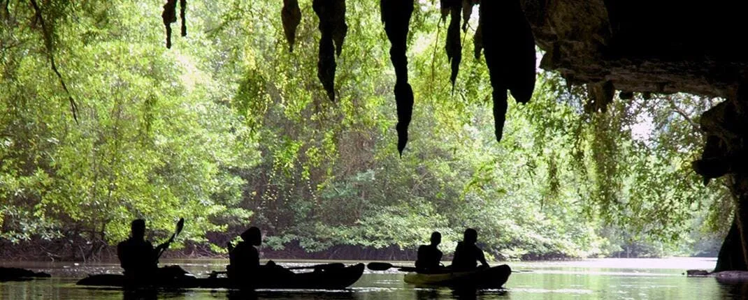 Half Day Bor Thor Mangroves & Caves Kayaking Tour