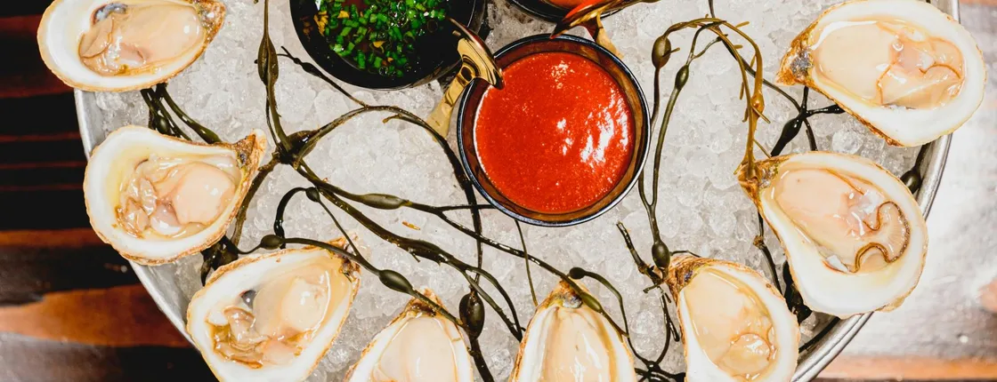 Oyster and wine experience in New York