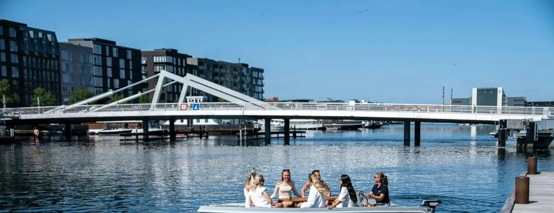 Private 3-hour electric boat tour of Copenhagen's canals