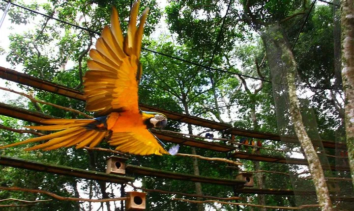 3 Days and 2 Nights 3 Stars Hotel Iguassu Falls - Private Tours