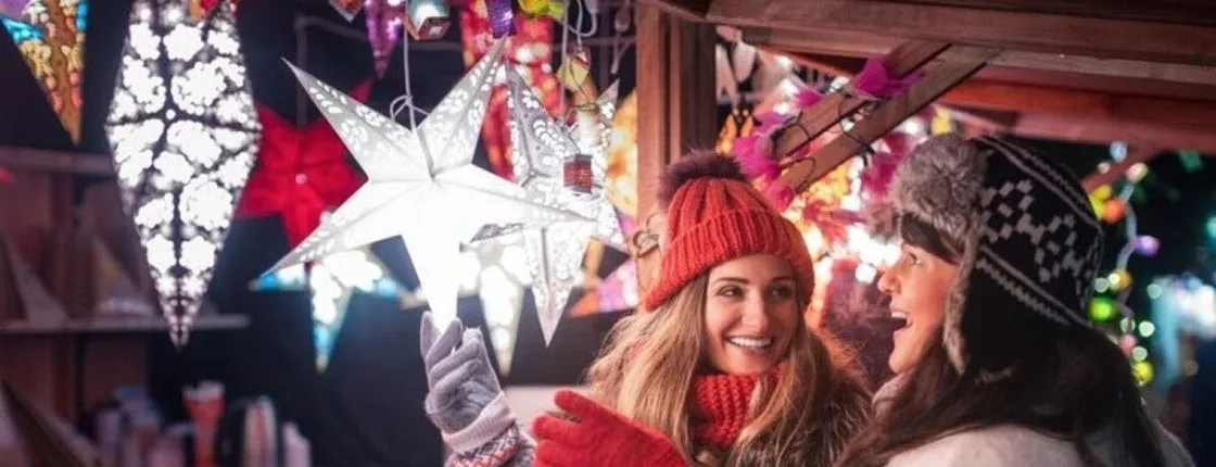 Private Christmas walk of the Winter Wonders in Brussels