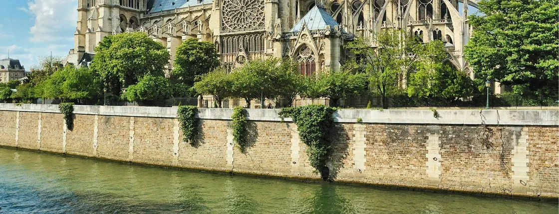 Île de la Cité and Notre Dame Cathedral small-group tour