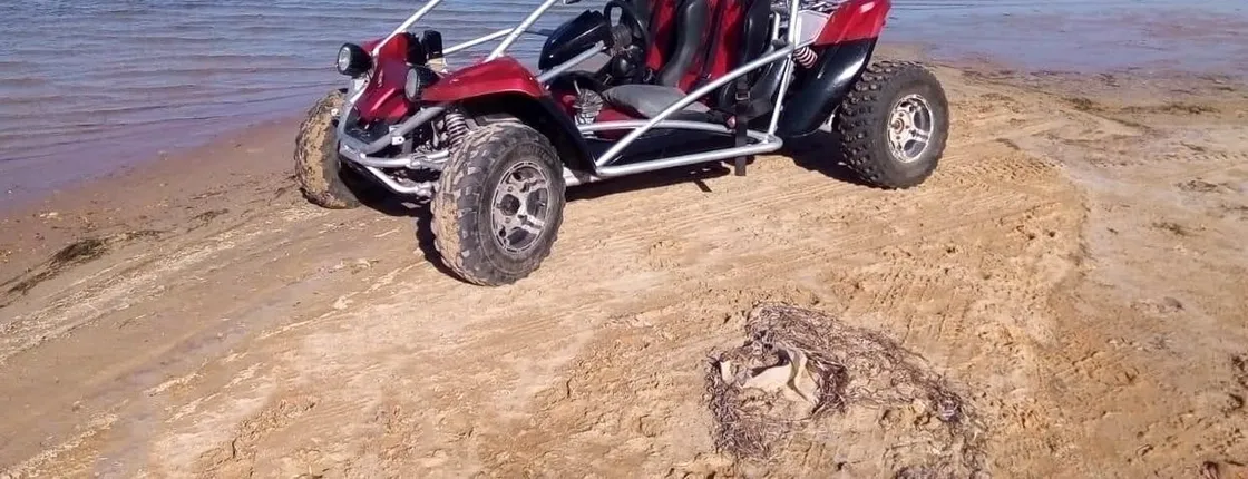 Djerba buggy safari