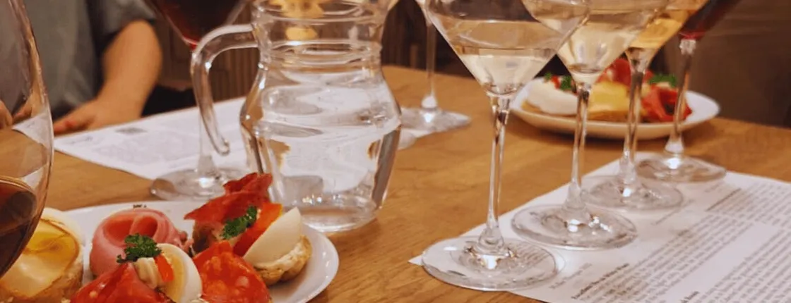 Small Carpathian Route Wines Tasting Tour in Bratislava City Center