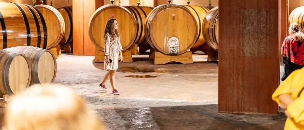 Mount Etna winery tour and tasting experience