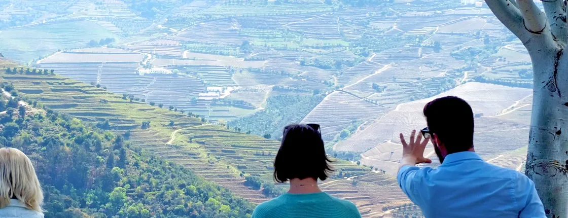 Douro valley wine venture and boat trip