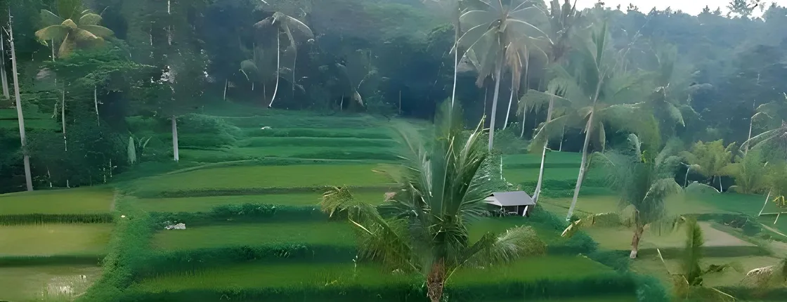 Tetebatu full-day eco tour