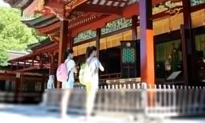 Port Pick-Up: Hakata Private Tour Licensed Guide＆ Vehicle