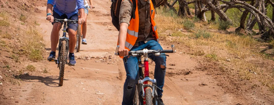 Bike tour in Marrakech's palmgroove with a local guide