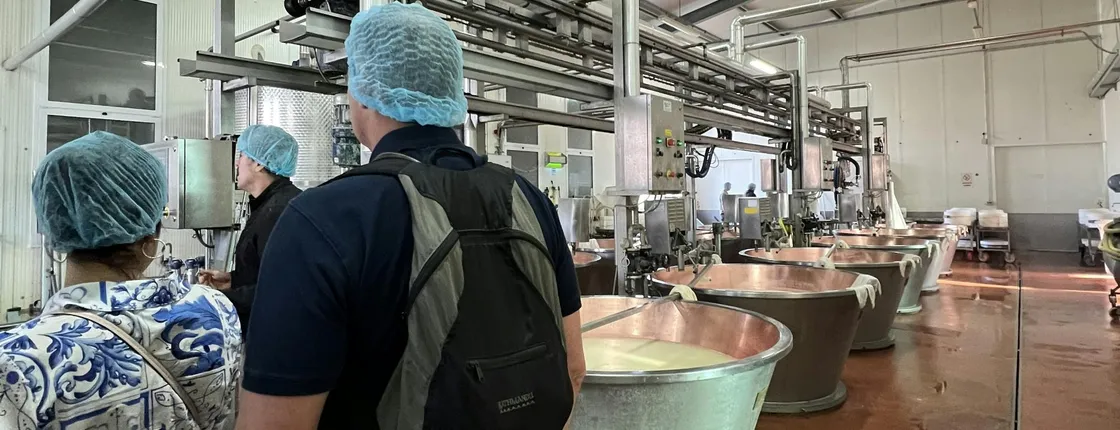 Ferrari, Parmesan and Balsamic Food Tasting Tour in Bologna
