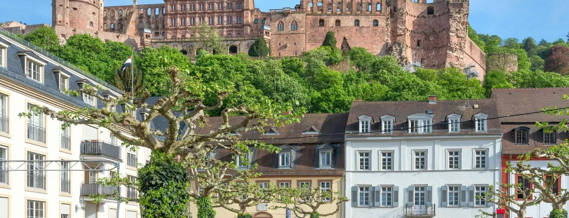 Heidelberg city tour with castle, funicular, and Philosopher's Walk