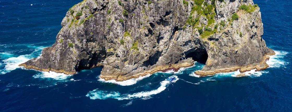 Small group day tour to Bay of Islands from Auckland