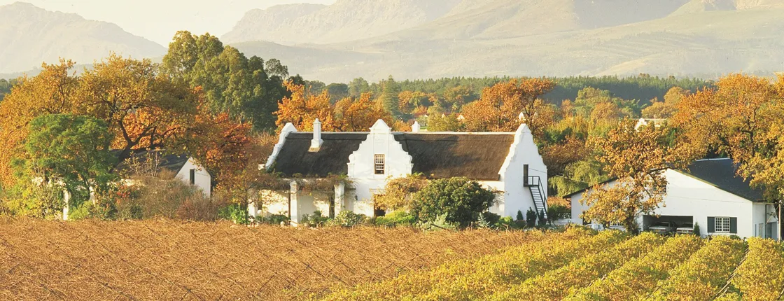 Cape Winelands Half-Day Tour from Cape Town