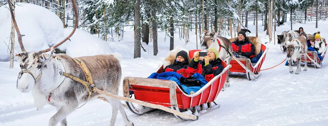 Reindeer Farm Visit Experience in Rovaniemi
