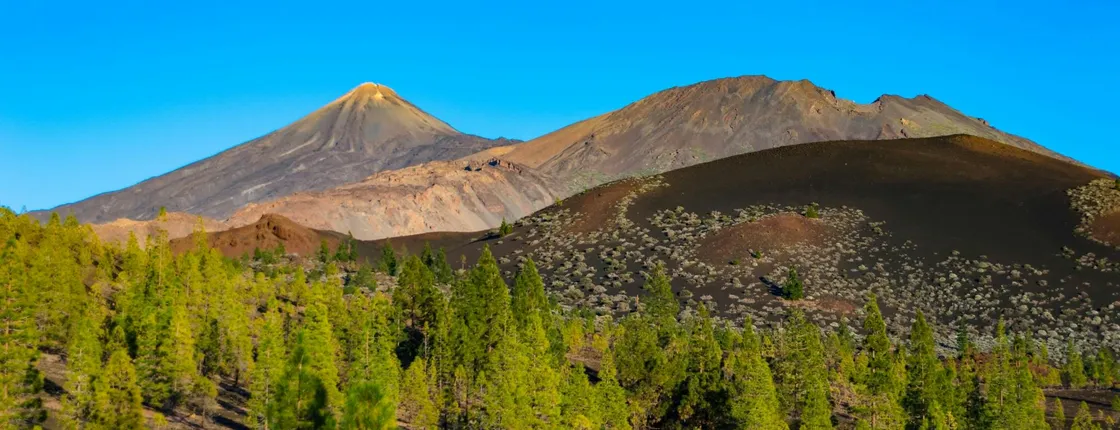 Mount Teide National Park wheelchair-friendly private tour