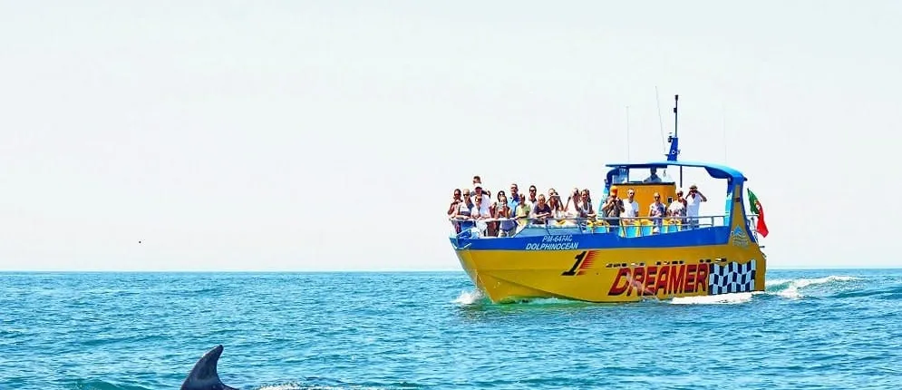 Dolphin-watching tour with drinks and tapas