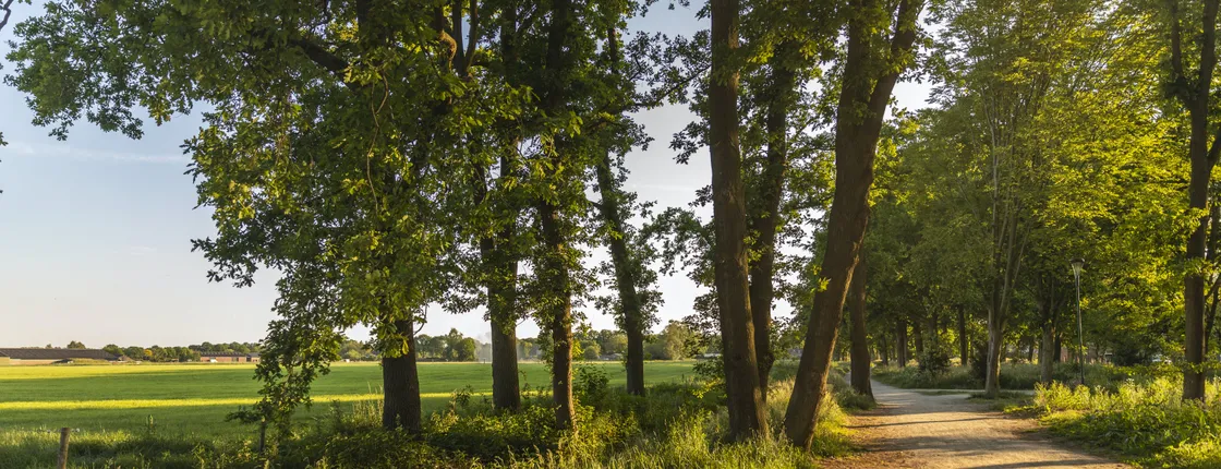 Self-guided interactive nature trail of Eersel
