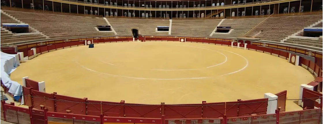 Alicante Bullring and Central Market tour with tastings