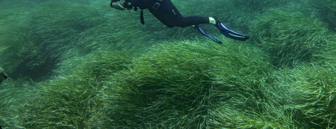 SSI 1 day scuba diver course in Mallorca