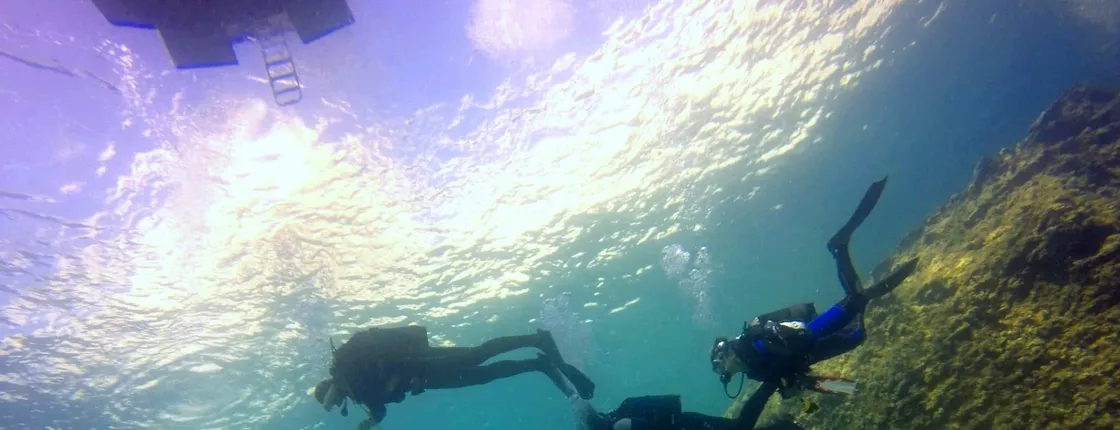 Scuba Diving Experience