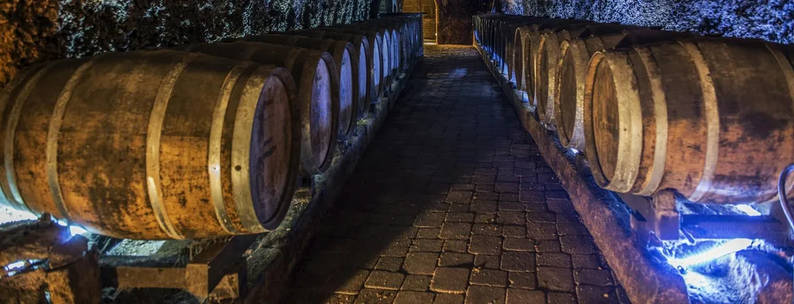 Full-day La Rioja wineries tour from Bilbao