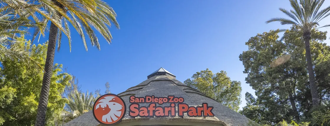 San Diego Zoo Safari Park 1-day pass
