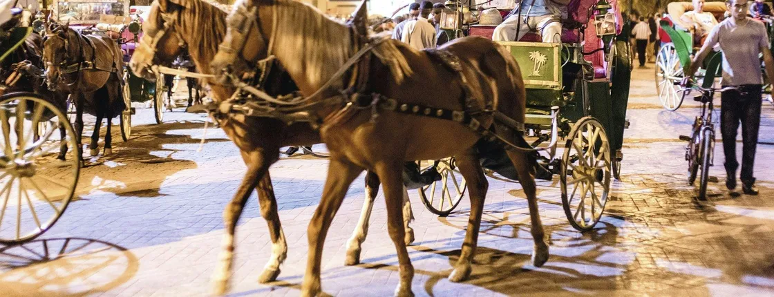 Private horse-drawn carriage tour of Marrakech by night