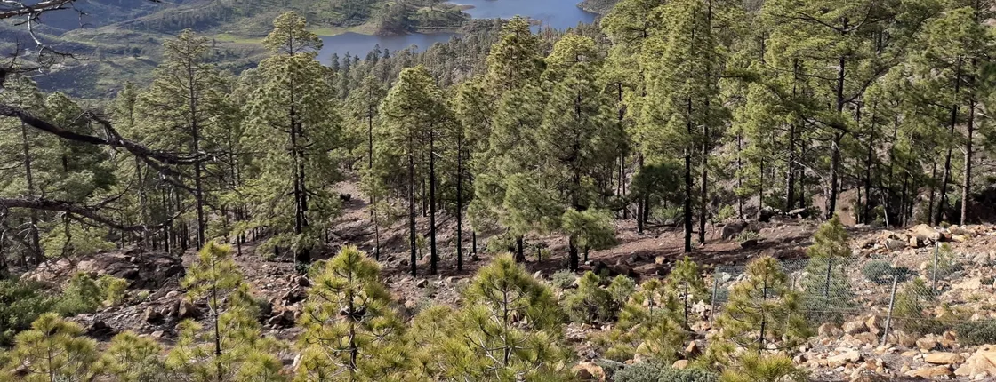 Full-day hiking tour in Gran Canaria: route of the week