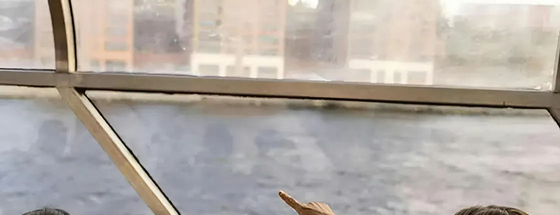 Stockholm sightseeing cruise with pizza