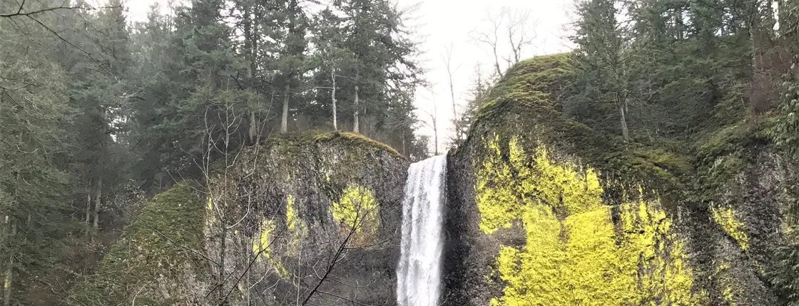 Morning half-day to Multnomah Falls and River Gorge Waterfalls