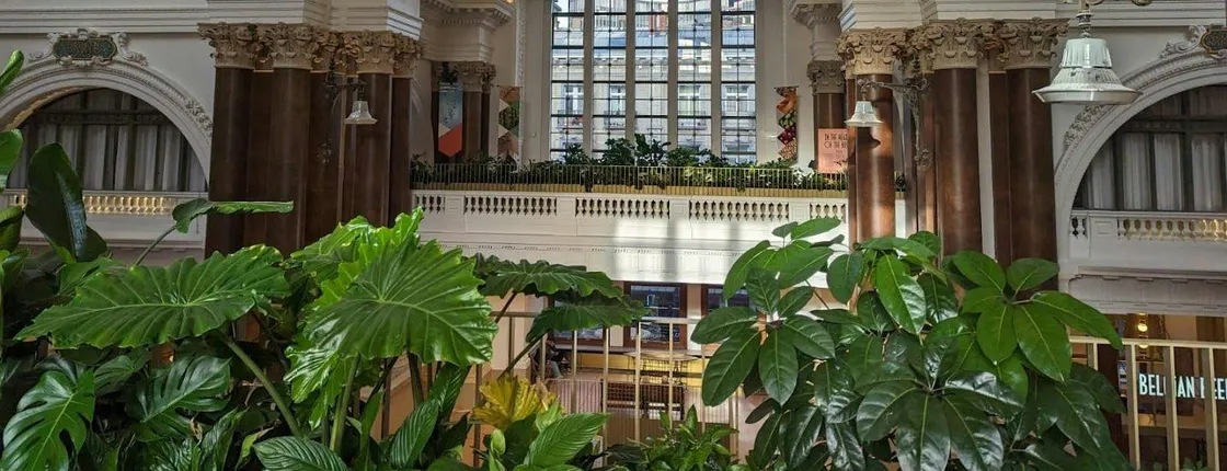 Belgian Beer World entry and Brussels' landmarks audio guide