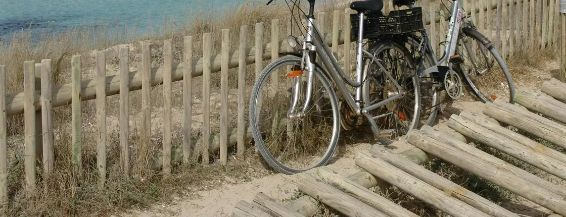 Ibiza Formentera bike tour with fast ferry