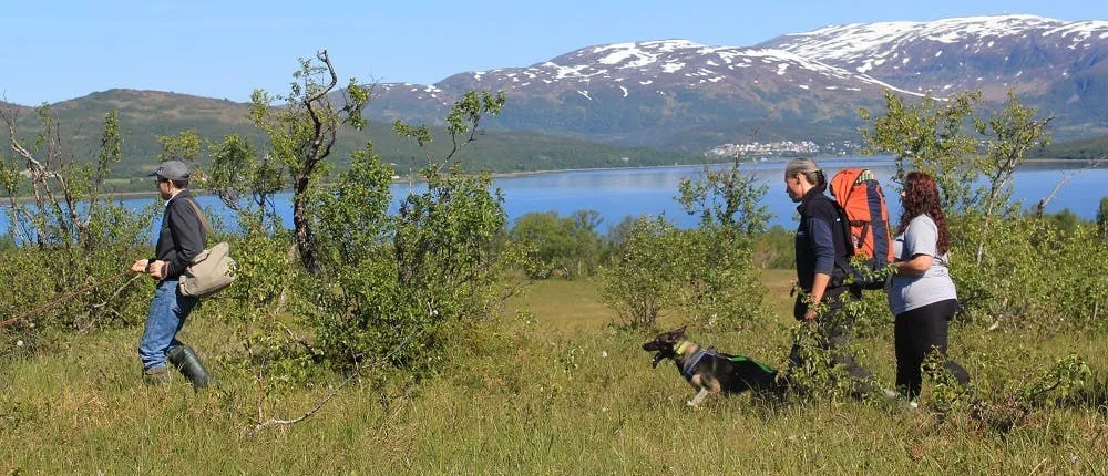 Enjoy a husky trekking trip