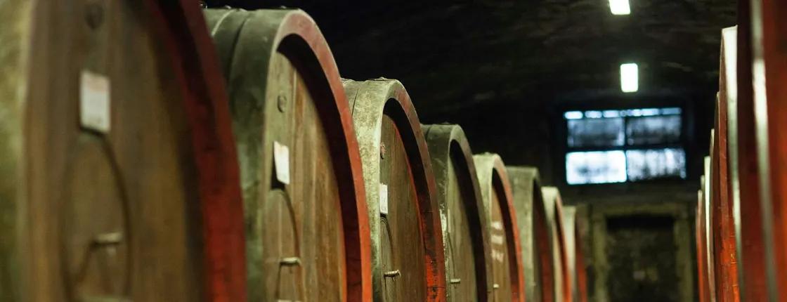 Chianti Rufina tour with wine tasting and lunch at Villa Travignoli