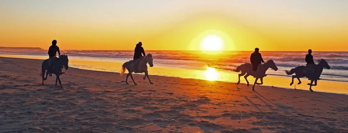 Guided Horseback Riding Experience on Essaouira's Dunes