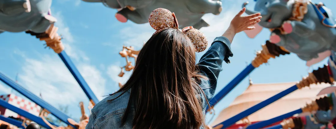 Walt Disney World Resort single-park multi-day tickets