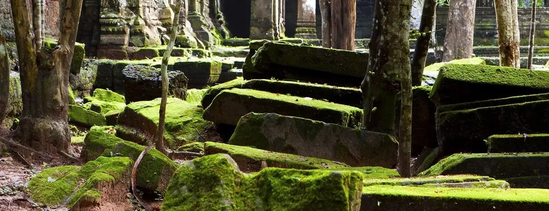Koh Ker and Beng Mealea temple private full-day tour from Siem Reap