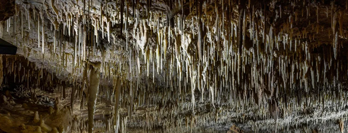 Natural Bridge Caverns Hidden Wonders Tour