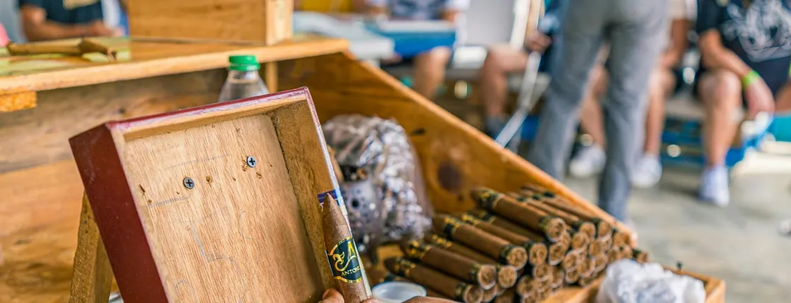 Full-day Dominican culture experience from Punta Cana with lunch
