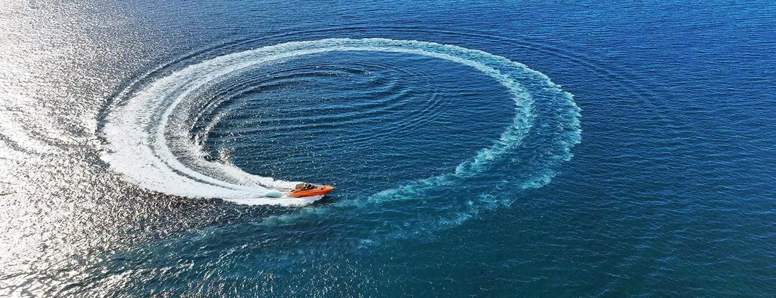 Luxury three-hour yacht trip to Lobos Island with transfers
