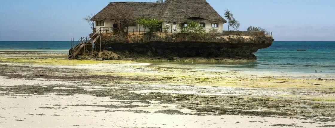 Zanzibar culture and traditions private tour with seaweed centre visit