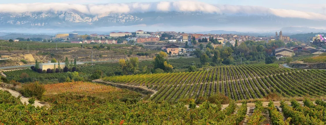 La Rioja wine tour and Laguardia from San Sebastián