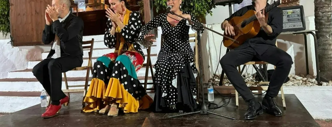 Flamenco dinner-show at a Guadalmina's restaurant