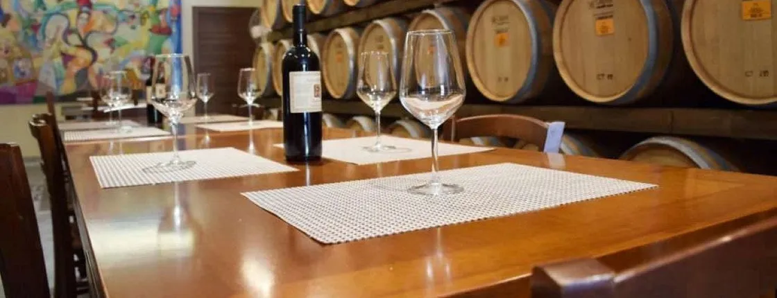 Negroamaro vineyard tour and wine tasting in Guagnano